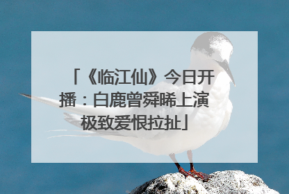 《临江仙》今日开播：白鹿曾舜晞上演极致爱恨拉扯