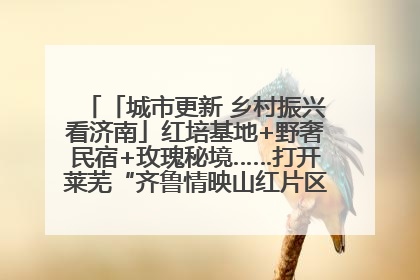 「城市更新 乡村振兴看济南」红培基地+野奢民宿+玫瑰秘境……打开莱芜“齐鲁情映山红片区”的破圈秘籍