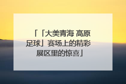「大美青海 高原足球」赛场上的精彩 展区里的惊喜