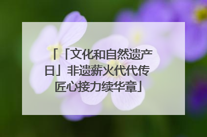 「文化和自然遗产日」非遗薪火代代传 匠心接力续华章