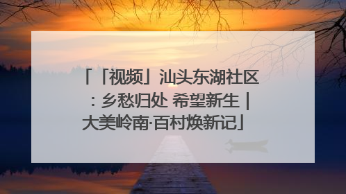 「视频」汕头东湖社区：乡愁归处 希望新生｜大美岭南·百村焕新记
