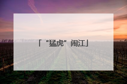 “猛虎”闹江