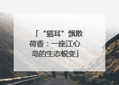“猫耳”飘散荷香：一座江心岛的生态蜕变