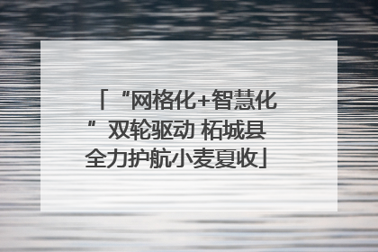 “网格化+智慧化”双轮驱动 柘城县全力护航小麦夏收