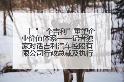 “一个吉利”重塑企业价值体系——记者独家对话吉利汽车控股有限公司行政总裁及执行董事桂生悦