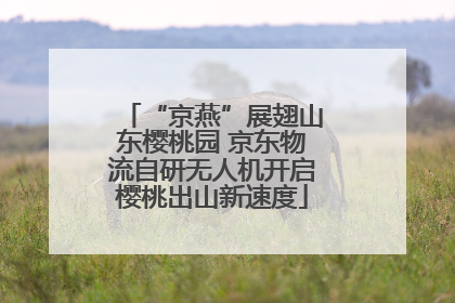 “京燕”展翅山东樱桃园 京东物流自研无人机开启樱桃出山新速度