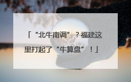 “北牛南调”？福建这里打起了“牛算盘”！
