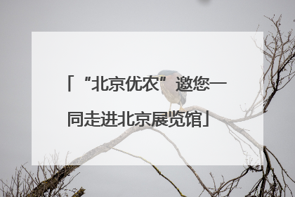 “北京优农”邀您一同走进北京展览馆