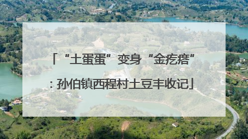 “土蛋蛋”变身“金疙瘩”：孙伯镇西程村土豆丰收记