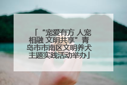 “宠爱有方 人宠相融 文明共享”青岛市市南区文明养犬主题实践活动举办