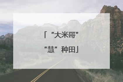 “大米哥”“慧”种田