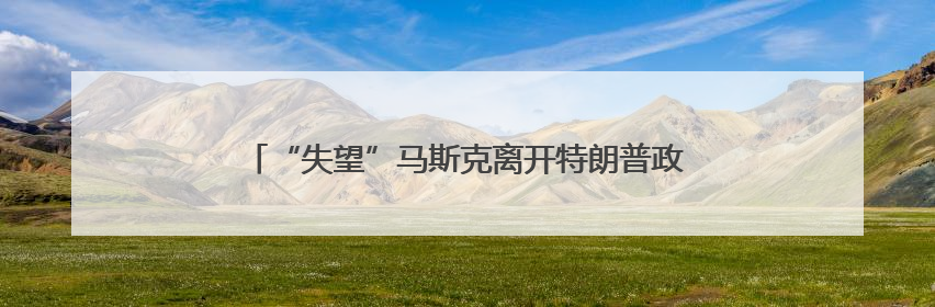 “失望”马斯克离开特朗普政府 媒体称当天两人未交谈