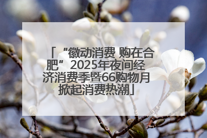 “徽动消费 购在合肥”2025年夜间经济消费季暨66购物月掀起消费热潮