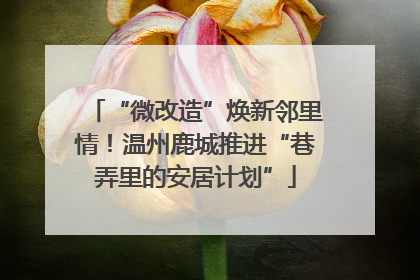“微改造”焕新邻里情！温州鹿城推进“巷弄里的安居计划”