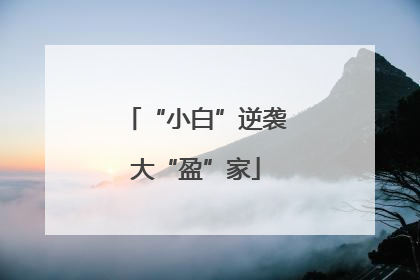 “小白”逆袭大“盈”家