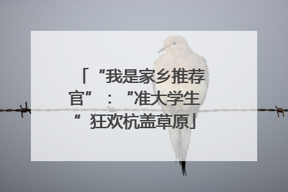 “我是家乡推荐官”：“准大学生”狂欢杭盖草原