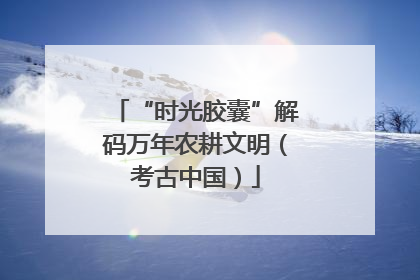 “时光胶囊”解码万年农耕文明（考古中国）