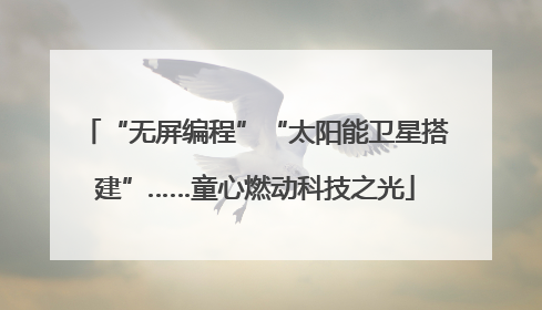 “无屏编程”“太阳能卫星搭建”……童心燃动科技之光