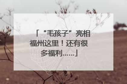 “毛孩子”亮相福州这里！还有很多福利……