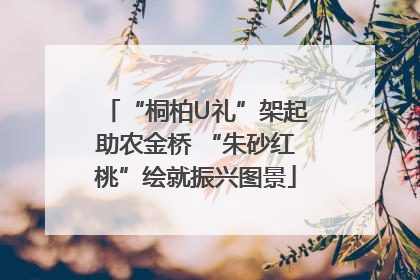 “桐柏U礼”架起助农金桥 “朱砂红桃”绘就振兴图景