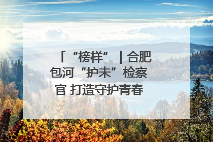 “榜样”｜合肥包河“护未”检察官 打造守护青春成长的永恒灯塔