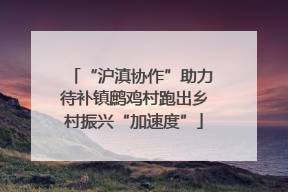 “沪滇协作”助力待补镇鹧鸡村跑出乡村振兴“加速度”
