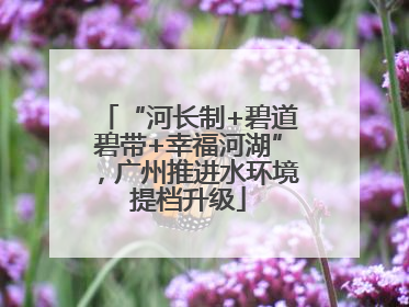“河长制+碧道碧带+幸福河湖”，广州推进水环境提档升级