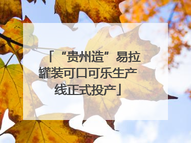 “贵州造”易拉罐装可口可乐生产线正式投产