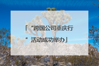 “跨国公司重庆行”活动成功举办