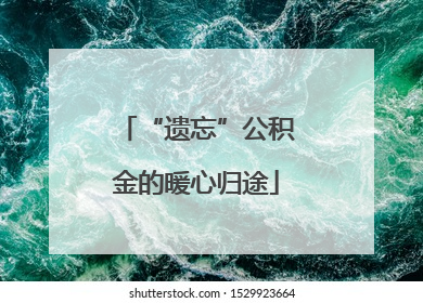 “遗忘”公积金的暖心归途