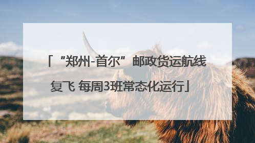 “郑州-首尔”邮政货运航线复飞 每周3班常态化运行