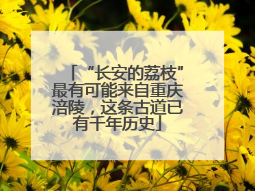 “长安的荔枝”最有可能来自重庆涪陵，这条古道已有千年历史