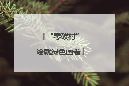 “零碳村” 绘就绿色画卷