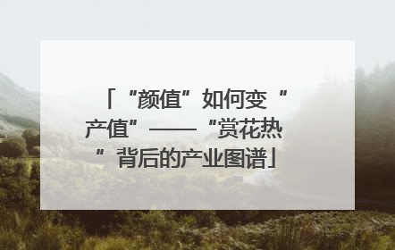 “颜值”如何变“产值”——“赏花热”背后的产业图谱