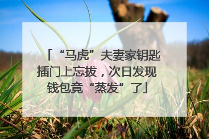 “马虎”夫妻家钥匙插门上忘拔，次日发现钱包竟“蒸发”了