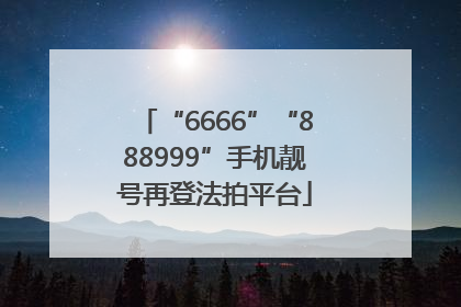 “6666”“888999”手机靓号再登法拍平台