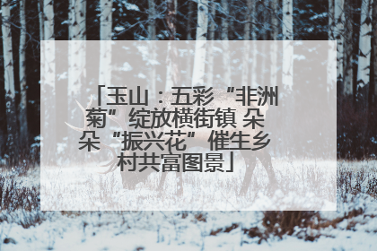 玉山：五彩“非洲菊”绽放横街镇 朵朵“振兴花”催生乡村共富图景