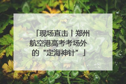 现场直击丨郑州航空港高考考场外的“定海神针”