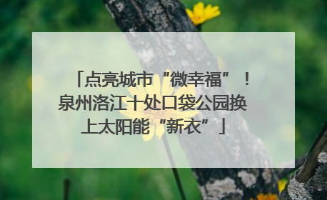 点亮城市“微幸福”！泉州洛江十处口袋公园换上太阳能“新衣”