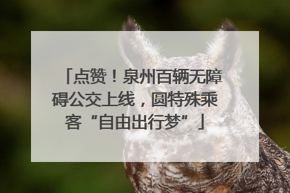 点赞！泉州百辆无障碍公交上线，圆特殊乘客“自由出行梦”