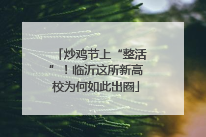 炒鸡节上“整活”！临沂这所新高校为何如此出圈