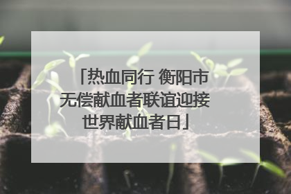 热血同行 衡阳市无偿献血者联谊迎接世界献血者日