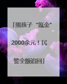 熊孩子“氪金”2000余元！民警全额追回