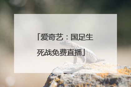 爱奇艺：国足生死战免费直播