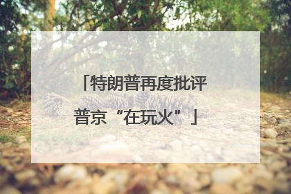 特朗普再度批评普京“在玩火”