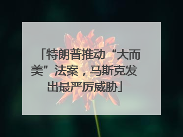 特朗普推动“大而美”法案，马斯克发出最严厉威胁
