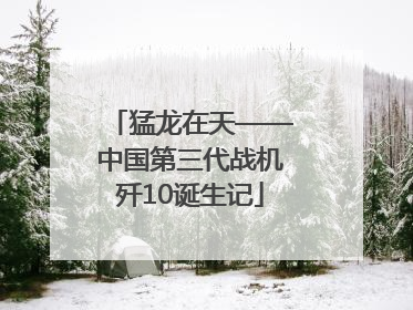 猛龙在天——中国第三代战机歼10诞生记