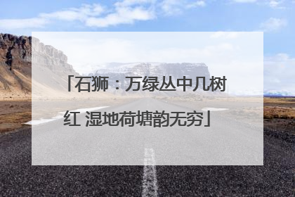 石狮：万绿丛中几树红 湿地荷塘韵无穷