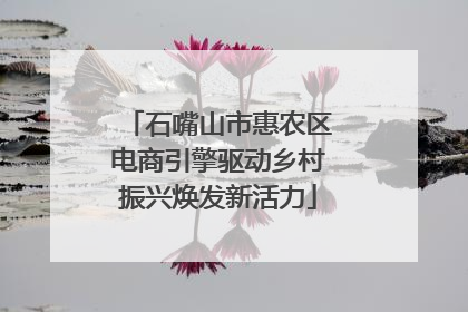 石嘴山市惠农区电商引擎驱动乡村振兴焕发新活力