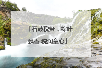 石鼓税务：粽叶飘香 税润童心